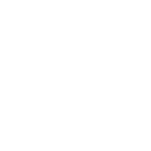 Phoenix Review